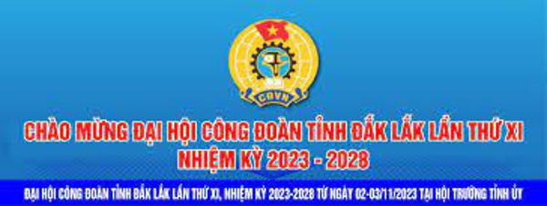 Đại hội Công đoàn tỉnh lần thứ XI, nhiệm kỳ 2023-2028 