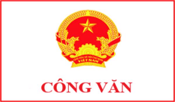 Quy trình Số 1975/QTr-STTTT-UBNDBMT ngày 14/11/2022