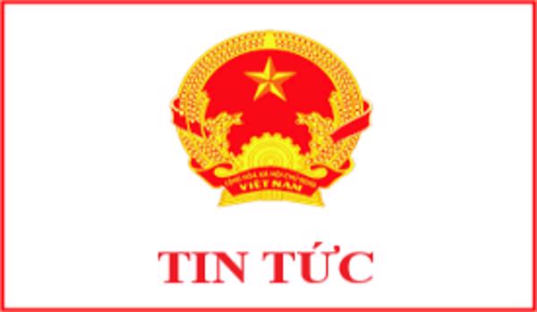 Khóa tập huấn TOT về thúc đẩy an toàn lao động trong chuỗi sản xuất cà phê 