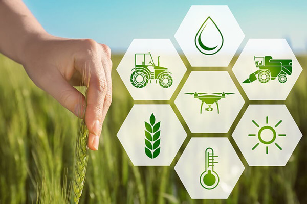 Kết quả thực hiện nhiệm vụ chuyển đổi số năm 2023;  Kế hoạch thực hiện nhiệm vụ chuyển đổi số năm 2024