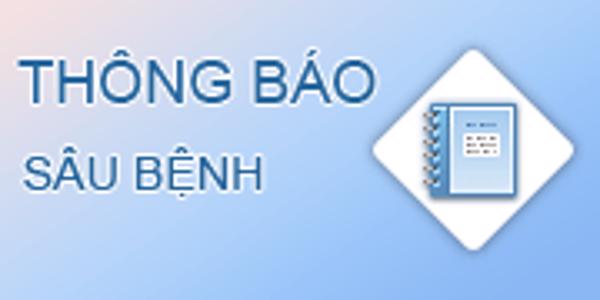 Thông báo số 04/TBSB ngày 22/01/2020 - Thông báo tình hình sinh vật hại 07 ngày